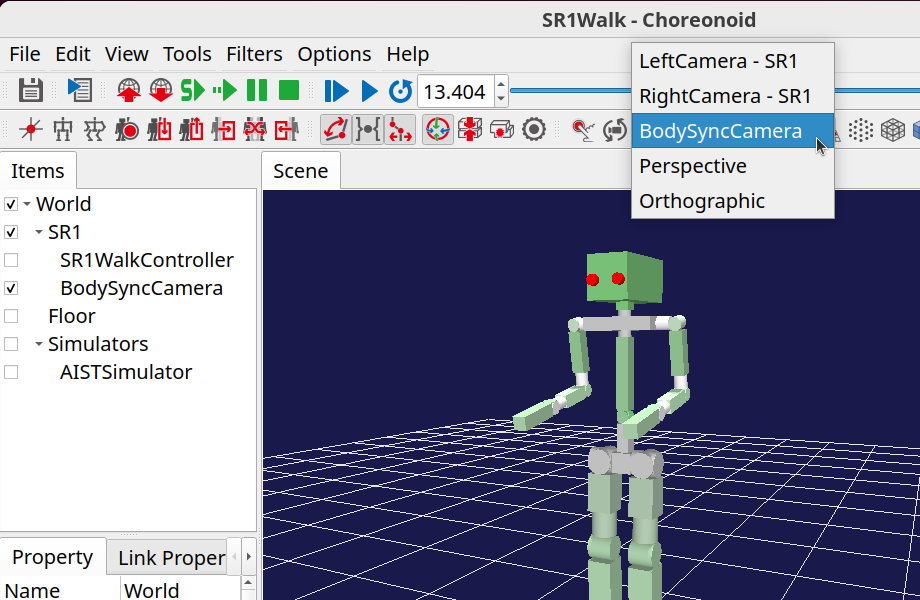 ../_images/body_sync_camera_selection.png